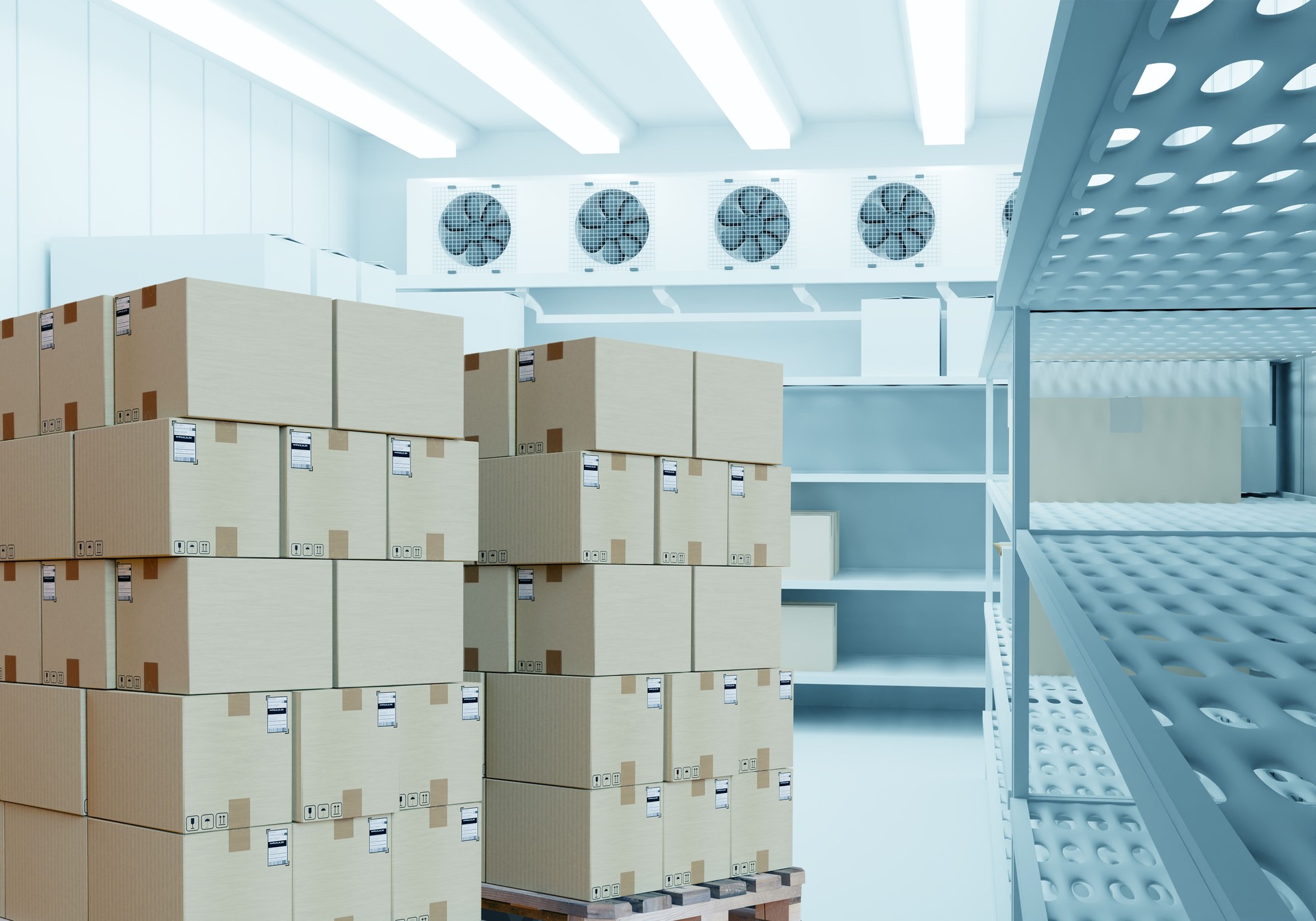 Almacén frigorífico. Las cajas se almacenan en el refrigerador. Almacén frigorífico. Palets con cajas en congelador industrial. Interior de la cámara frigorífica. Equipos de refrigeración para empresas. Imagen 3D.