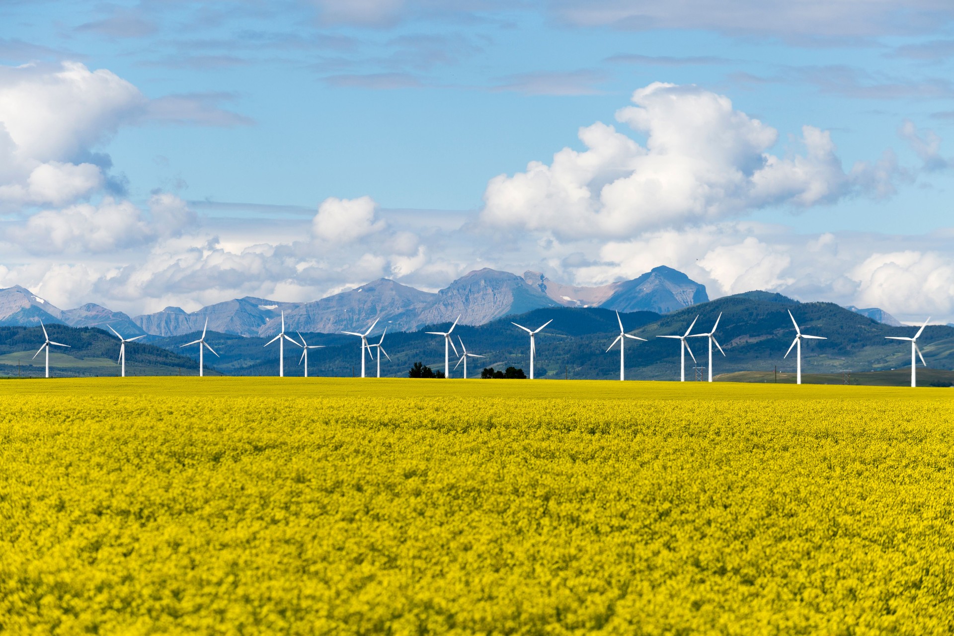 Turbina de energía renovables